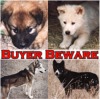Click to visit our Buyer Beware page