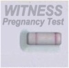 Click to learn about canine pregnancy testing