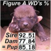 Click to use our custom % calculator