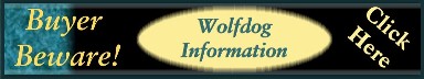 Cottonwoods Wolfdog Information