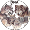 Click to visit our DNA page