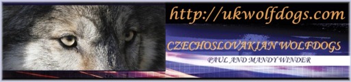 Visit Czechoslovakian Wolfdogs Website