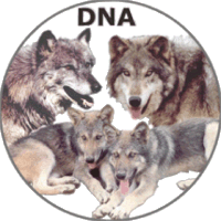 Verify your WD pedigree with DNA