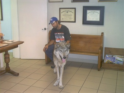 Ash in the waiting room