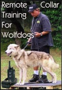 No Limitations Wolfdog Trainings