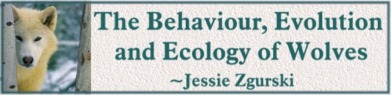 Click here to visit Jessie's Website