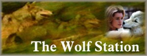 Visit The Wolf Station Website