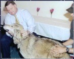 With RJ a Wolfdog from Cottonwoods