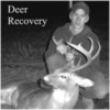 Click to visit our page on Deer Recovery