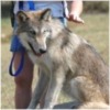 Click to see photos of TX Gathering
