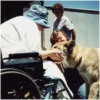Click to visit our Hospice page