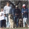 Click to see photos of obedience class